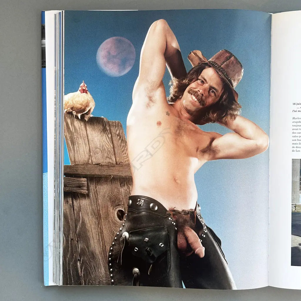 DIAN HANSON: BOB'S WORLD Image 1++